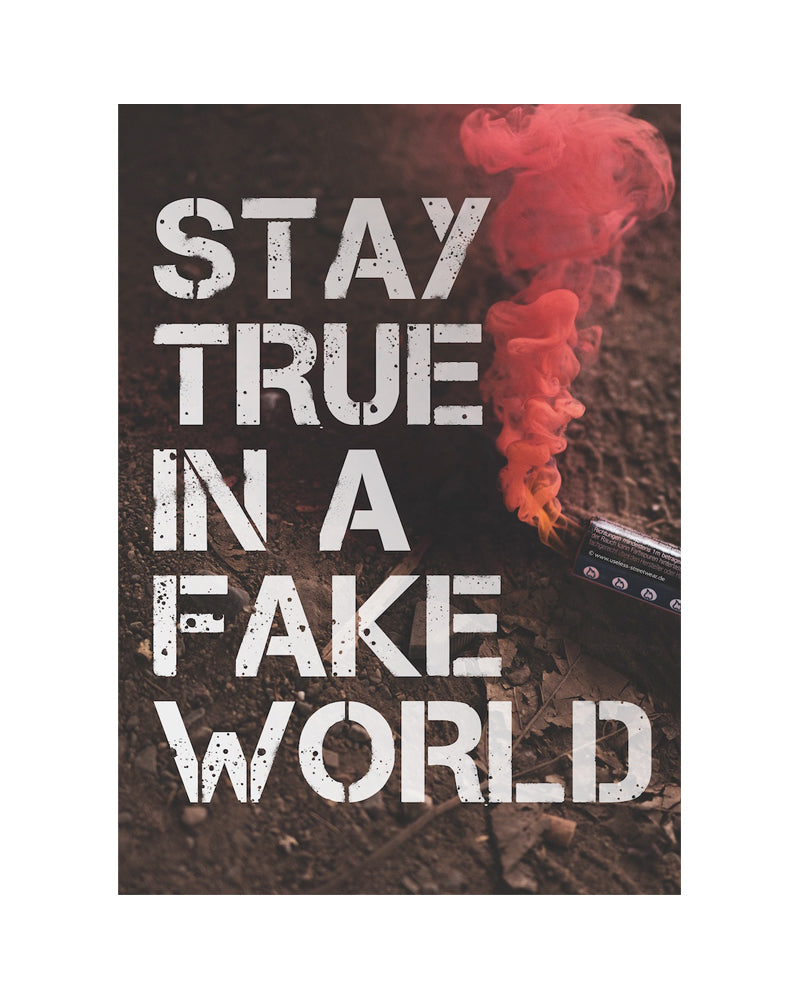 Stay True In A Fake World - Poster